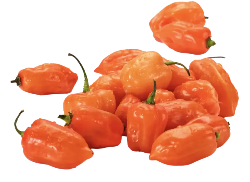 Habanero